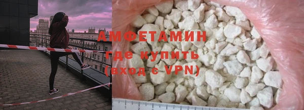 прущие грибы Няндома