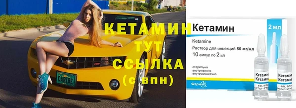 прущие грибы Няндома
