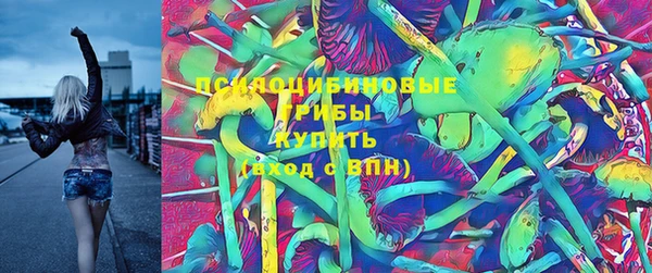прущие грибы Няндома