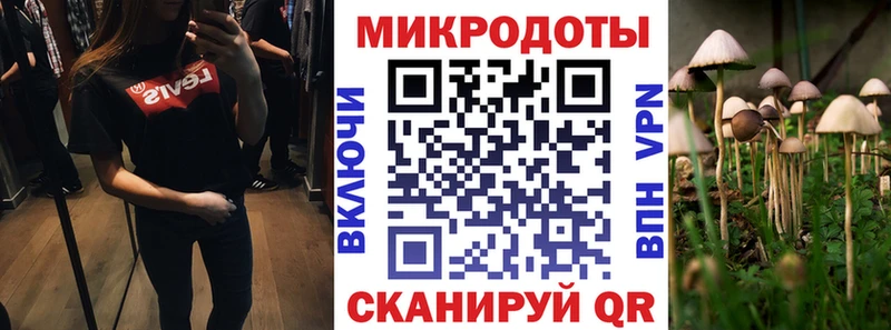 Псилоцибиновые грибы Psilocybine cubensis Карабаново