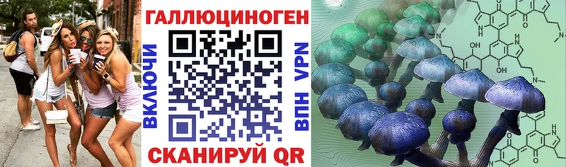 где можно купить   Карабаново  Псилоцибиновые грибы прущие грибы 